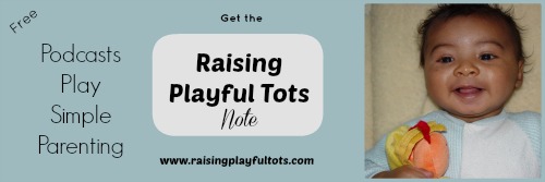 Raising Playful Tots Note