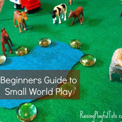 Beginners Guide to Small World Play